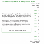 The visual analogue scale in the EQ-5D: the EQ VAS