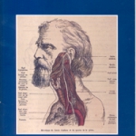 178 - 1990 asthma