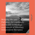 Bridging the Gap: Pathways for Regulatory and Health Technology Assessment of Histology Independent Therapies