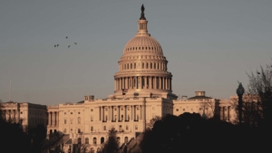 Limitations of CBO’s Simulation Model of New Drug Development as a Tool for Policymakers