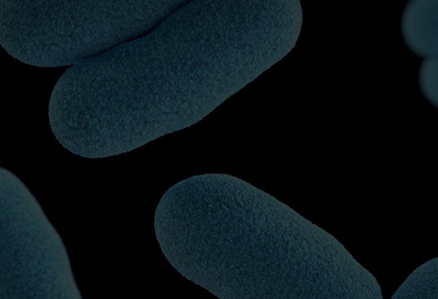 NetflixAntibiotics - OHE