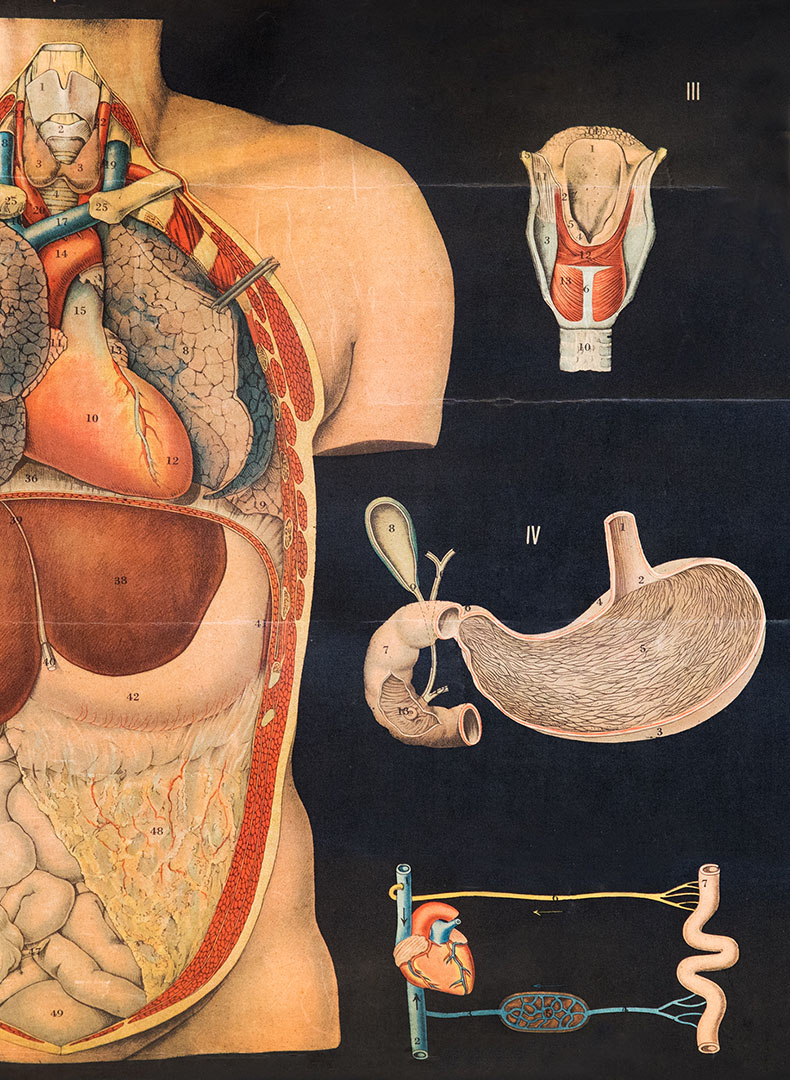 Healthcare systems_shutterstock_Photology1971_portrait