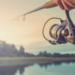 Fishing for Innovative Drugs with the ODRS: Potential Benefits and Challenges