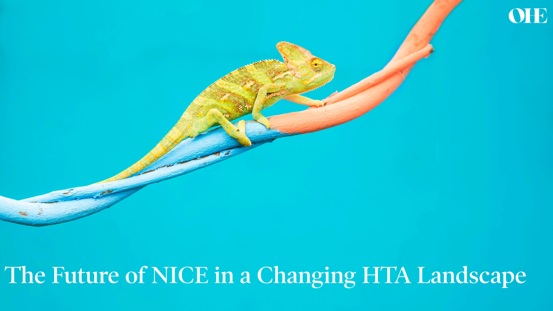 The future of NICE in the changing HTA landscape