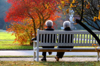 An elderly couple sit on a bench with their back in a bark during autumn