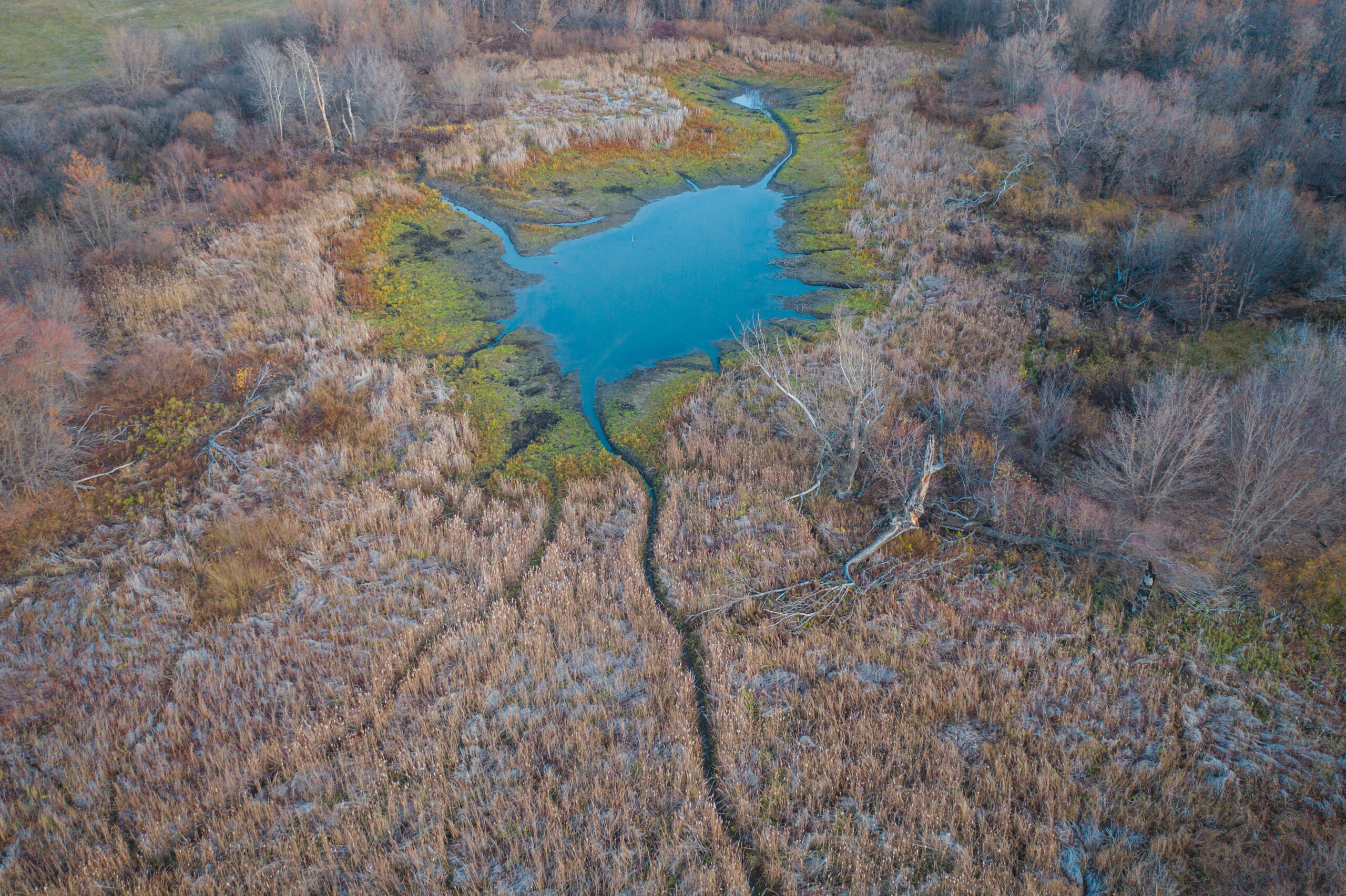 Fall landscape aerial
