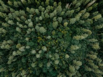 Aerial view of a dense green forest canopy.