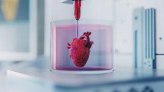 Lab scene showing a red heart model submerged in pink liquid within a clear container, with a syringe-like device above—likely a medical research display.