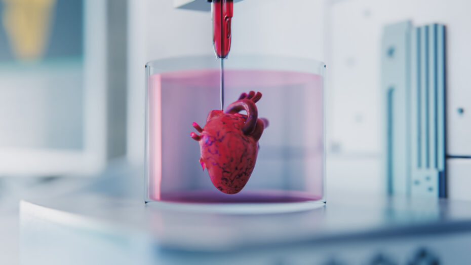 Lab scene showing a red heart model submerged in pink liquid within a clear container, with a syringe-like device above—likely a medical research display.