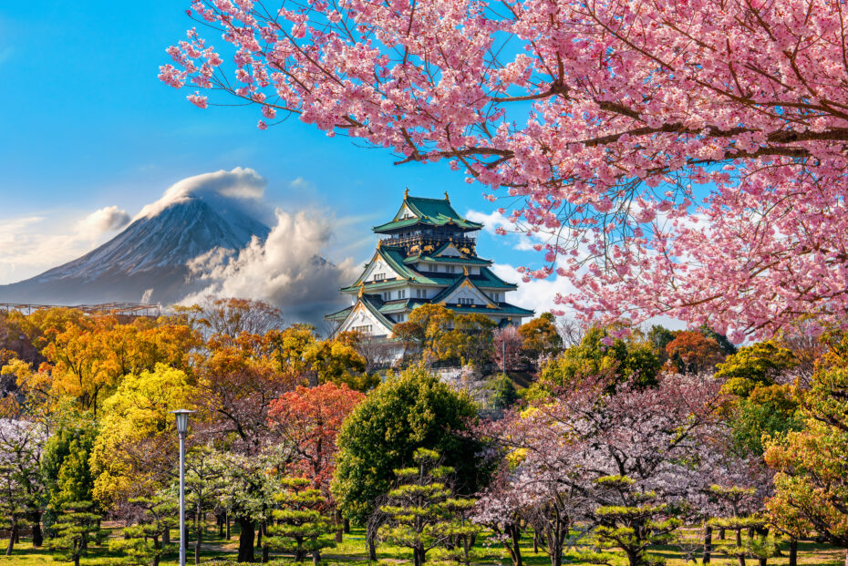 Around the World in HTA: Japan - an algorithmic approach to containing costs - OHE Osaka Castle and full cherry blossom with Fuji mountain backgr