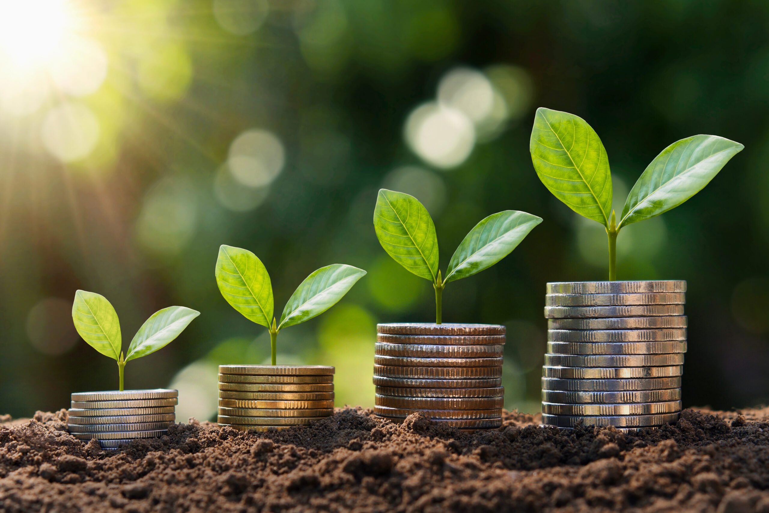 Young plant growing on a stack of coins in soil, symbolizing investing and growth.