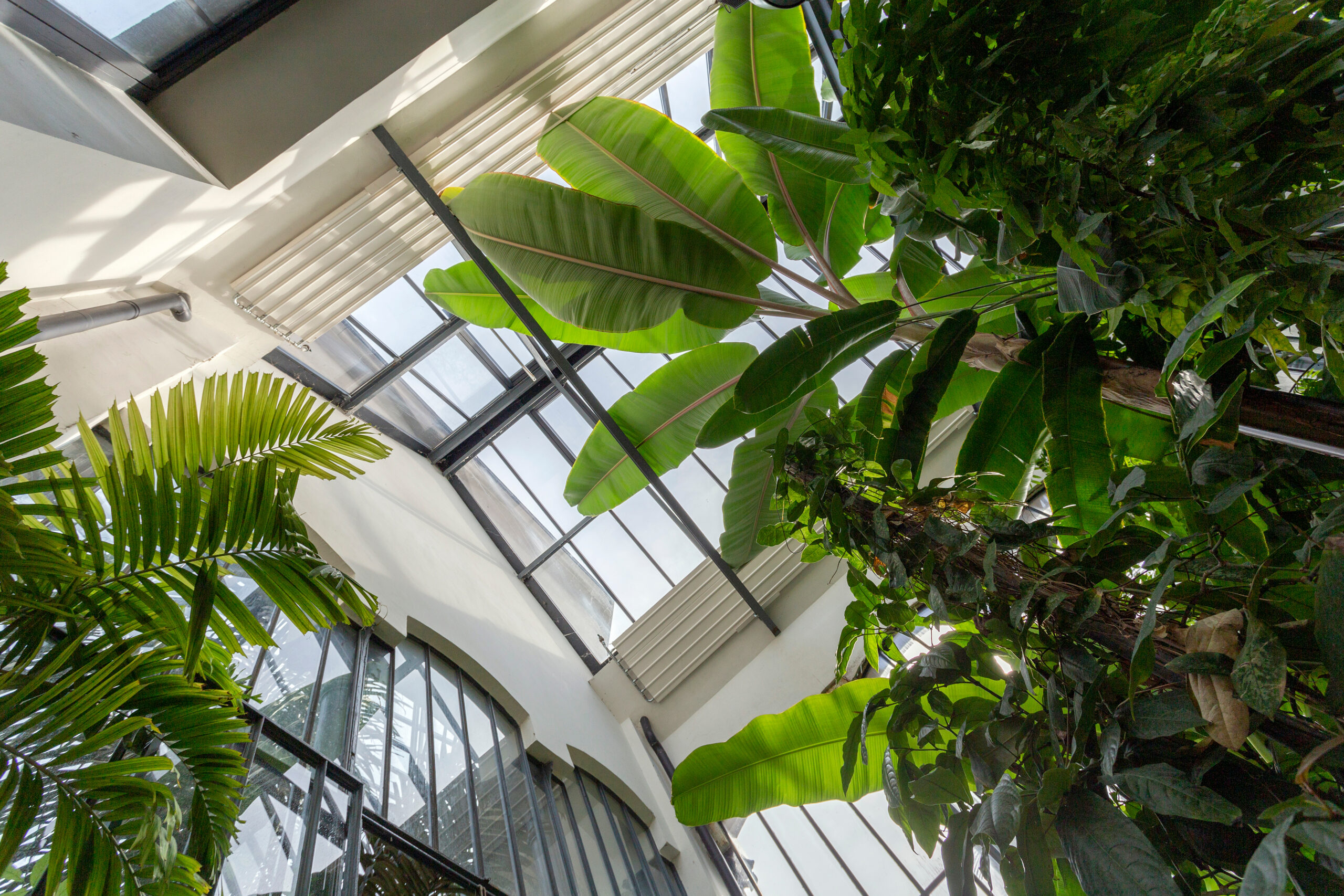 Botanical Garden Fuveszkert in Budapest